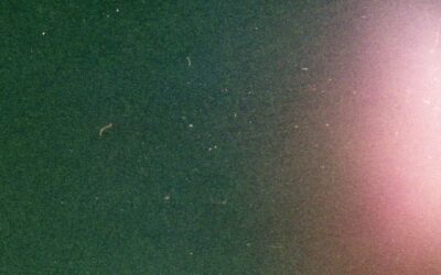 Thrilled to be joining the menu @libertycannabis in Somerville! When you stop in and grab your TruMist, don’t forget to snap a pic and tag us both! #trumistblog