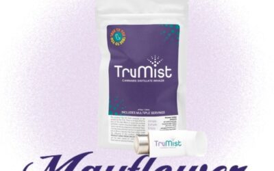 We’re at @mayflower.stores! So excited to be part of the Mayflower family. Check us out at their Worcester location! #trumistblog