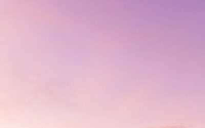 We’re joining the flock at @redcardinal2021! Check us out on the shelves in Amherst today! #trumistblog