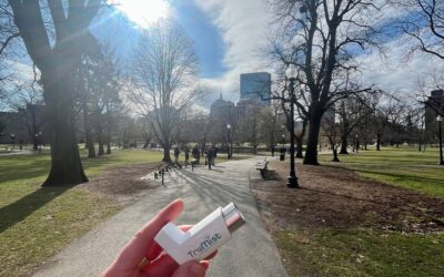 A picture perfect view #trumistblog