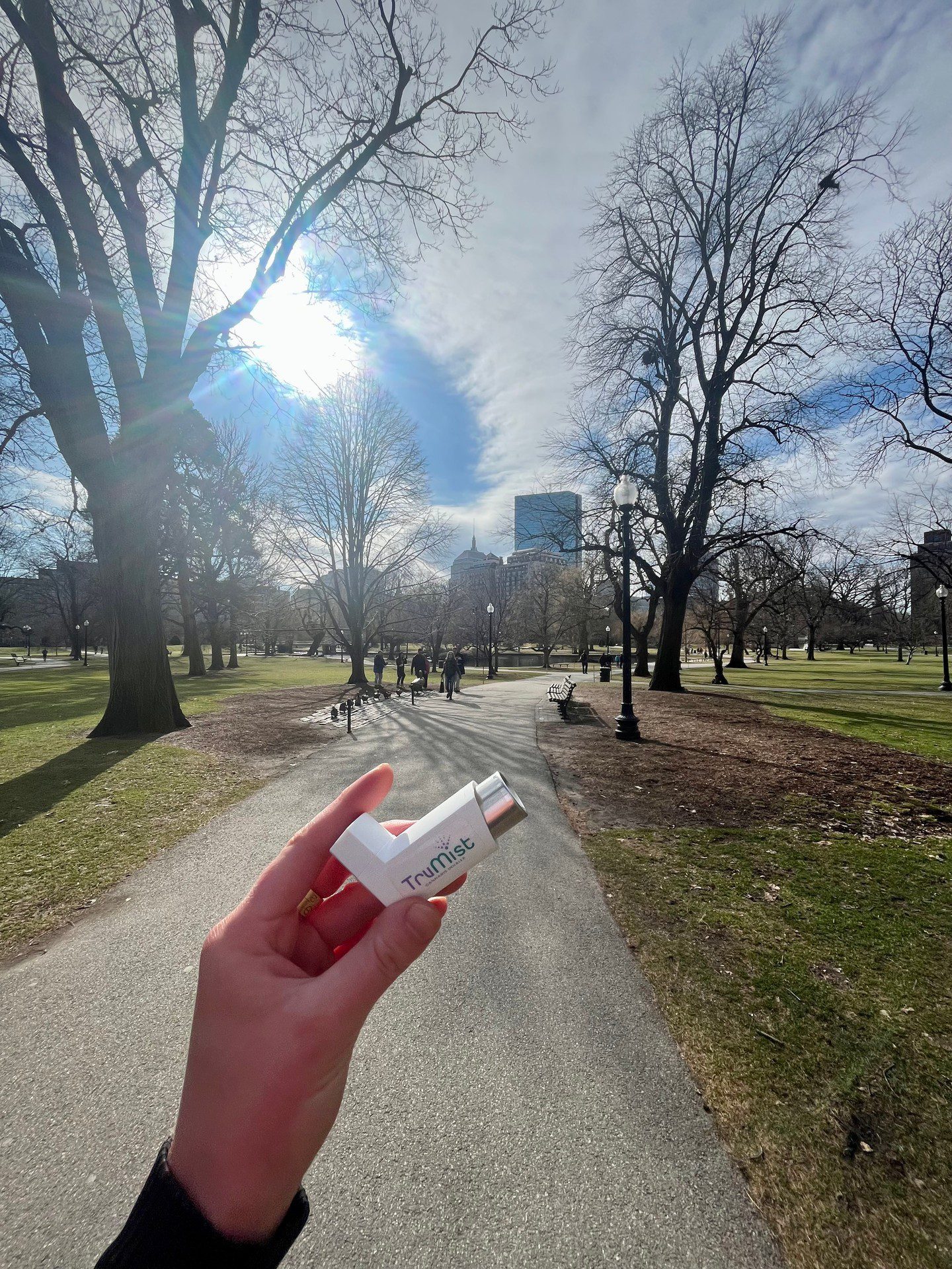 A picture perfect view