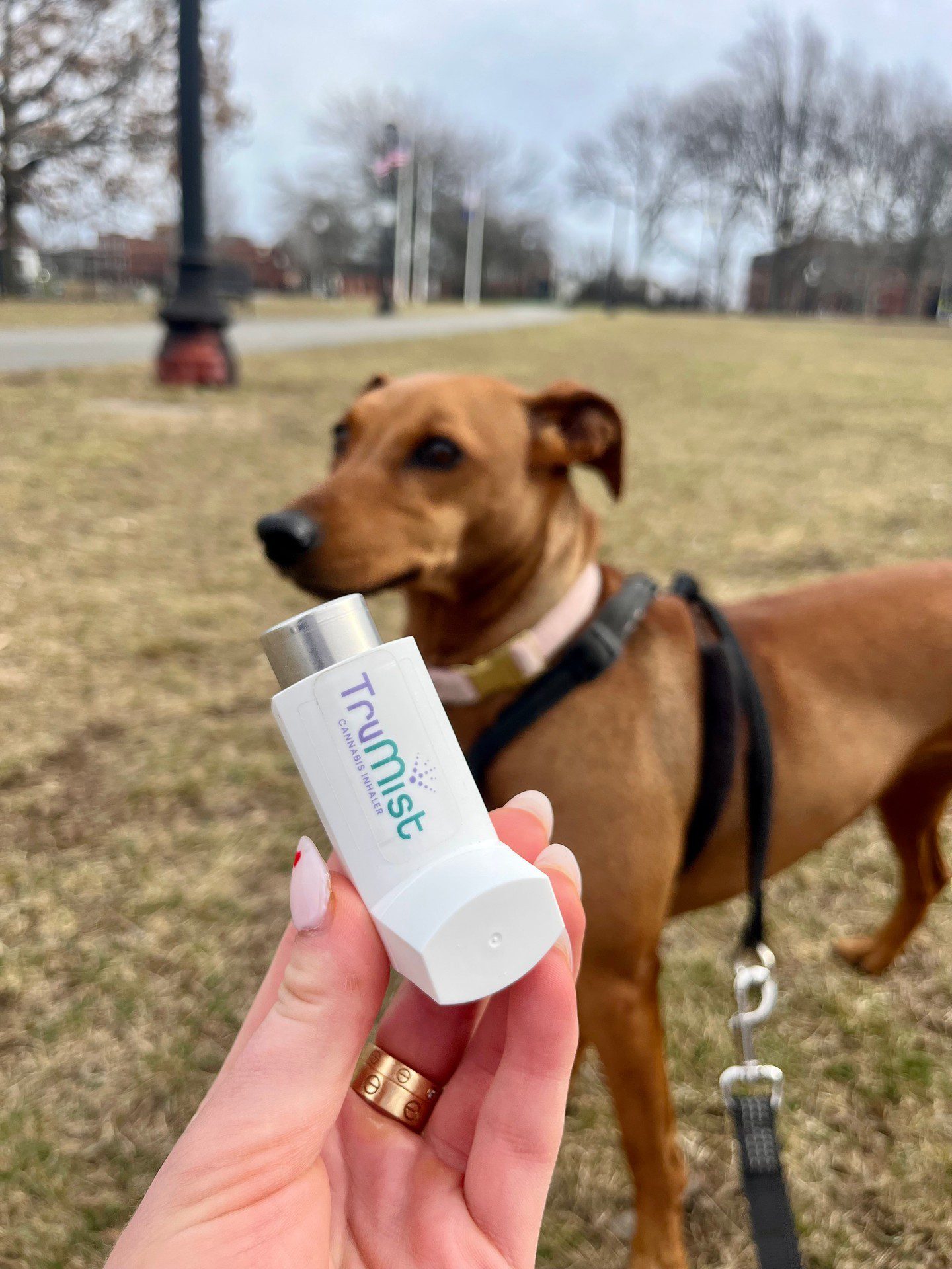 Move over, Fido. Your new best friend is here.