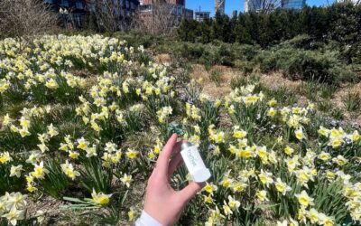 Like a breath of fresh air. #trumistblog